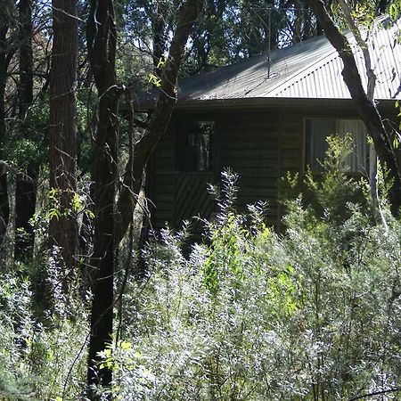 双子瀑布布什小屋 Fitzroy Falls 外观 照片