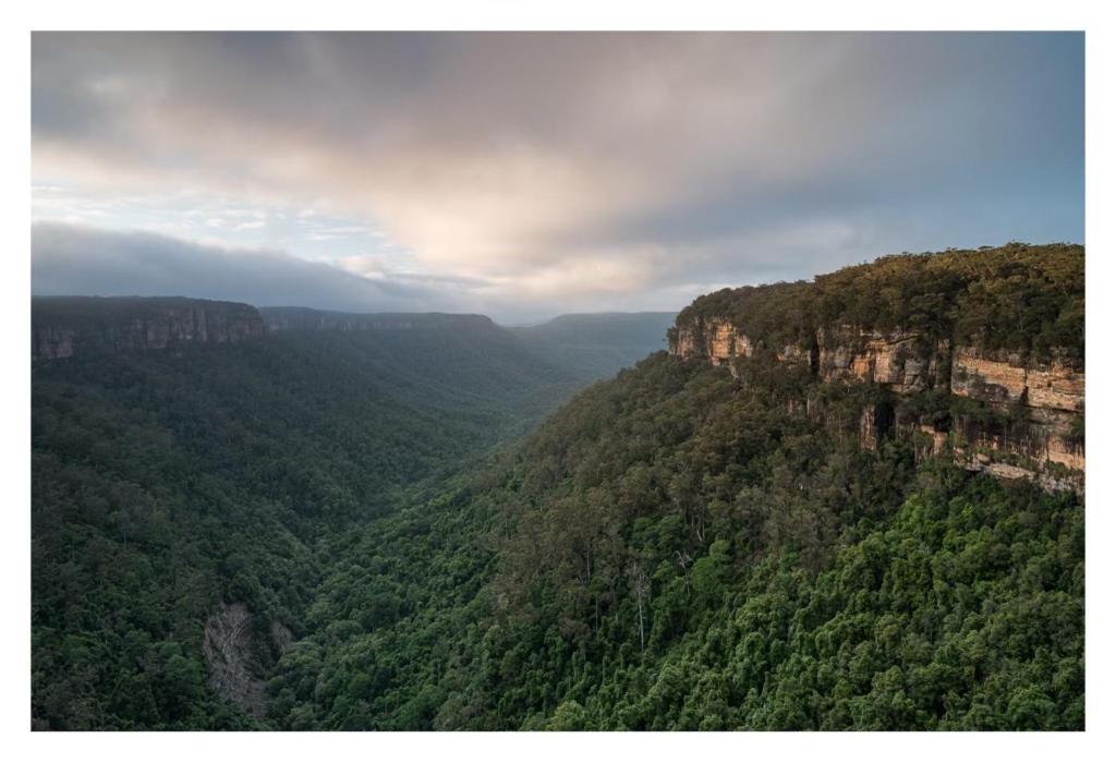 双子瀑布布什小屋 Fitzroy Falls 外观 照片