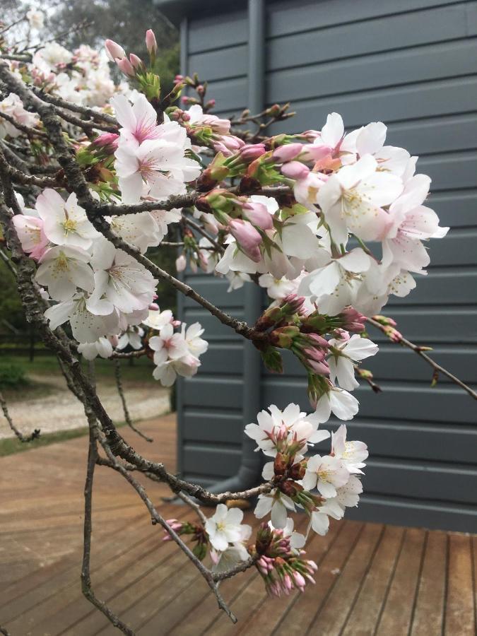 双子瀑布布什小屋 Fitzroy Falls 外观 照片