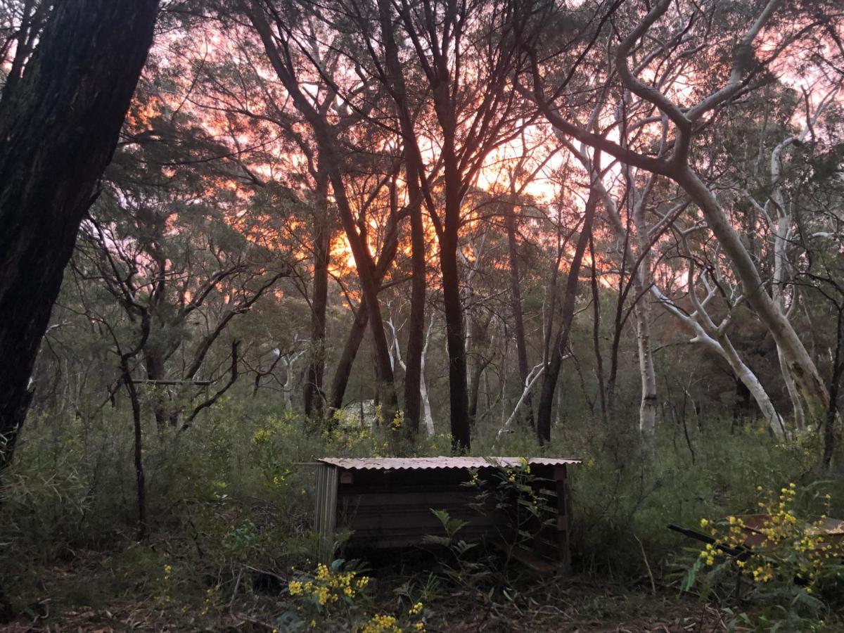 双子瀑布布什小屋 Fitzroy Falls 外观 照片