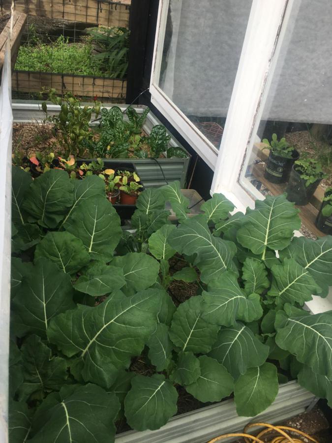 双子瀑布布什小屋 Fitzroy Falls 外观 照片