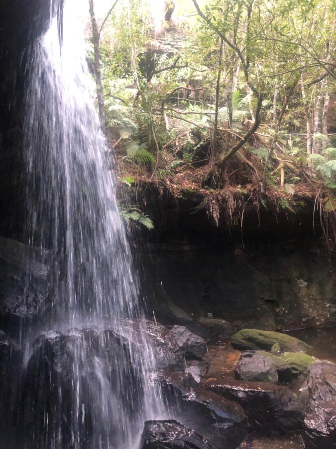 双子瀑布布什小屋 Fitzroy Falls 外观 照片
