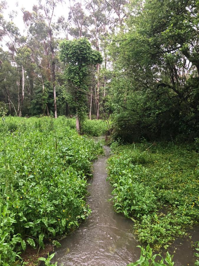 双子瀑布布什小屋 Fitzroy Falls 外观 照片