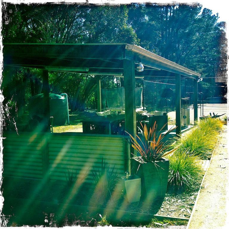 双子瀑布布什小屋 Fitzroy Falls 客房 照片