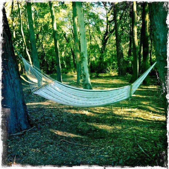 双子瀑布布什小屋 Fitzroy Falls 客房 照片