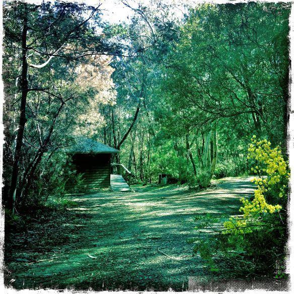 双子瀑布布什小屋 Fitzroy Falls 客房 照片