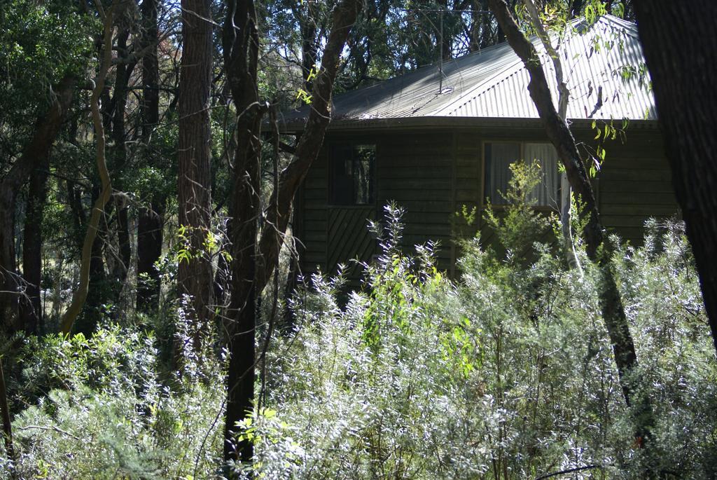双子瀑布布什小屋 Fitzroy Falls 外观 照片